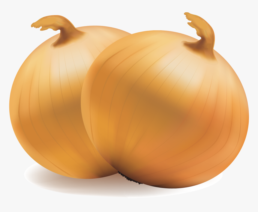 Yellow Onion, HD Png Download
