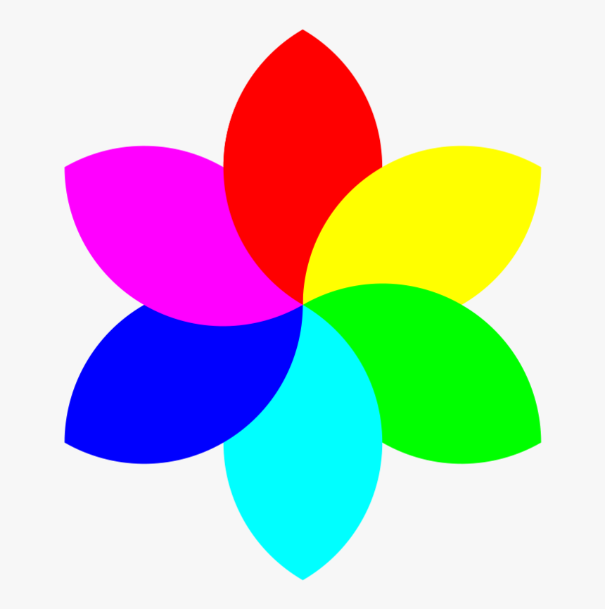 Flower Drawing Color Wheel