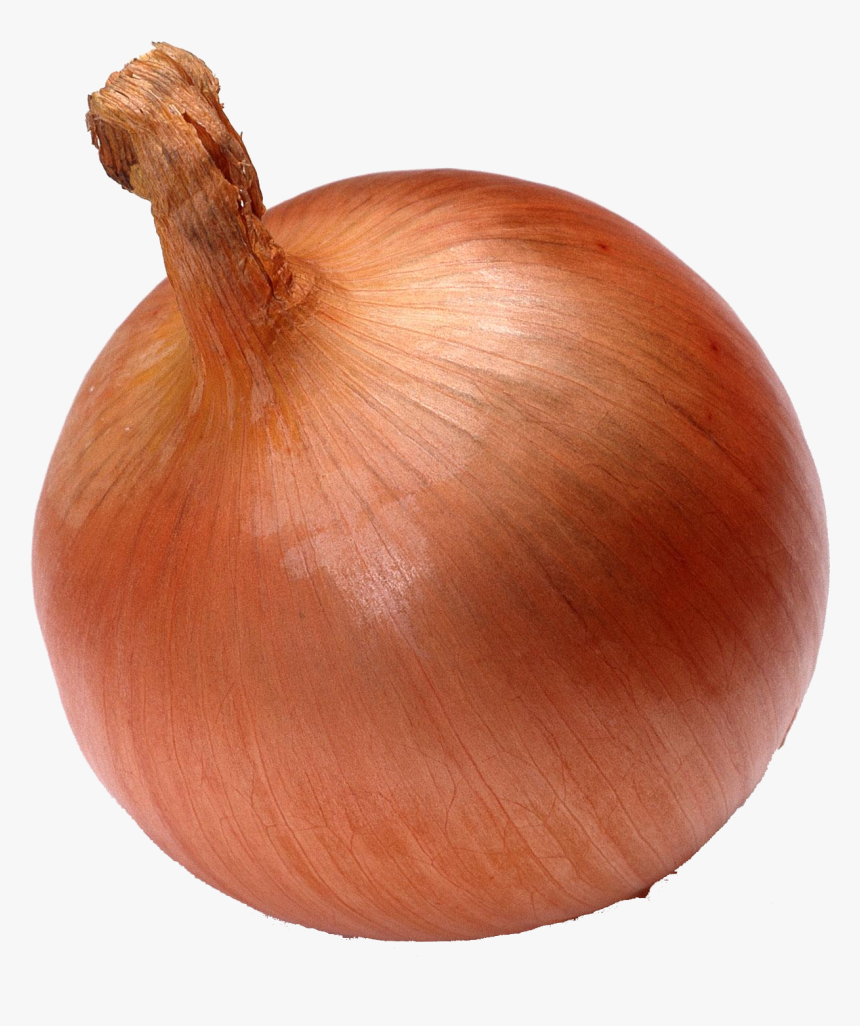 Onion Vegetable Seed Watermelon - Onion, HD Png Download