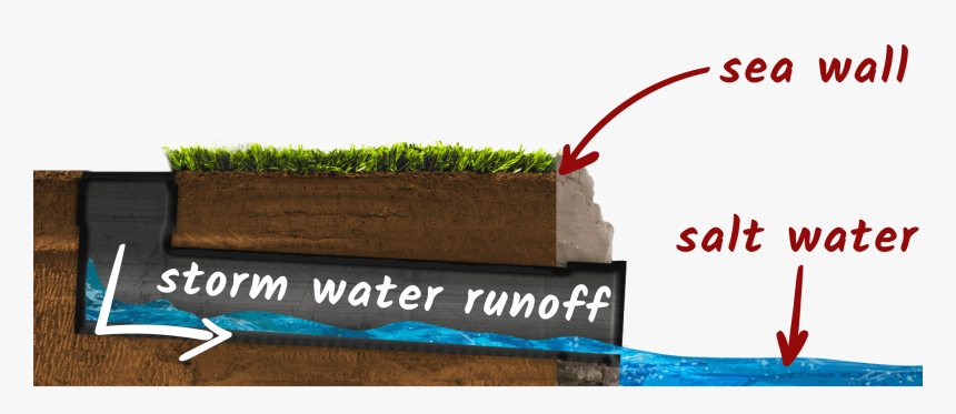 Grass , Png Download - Grass, Transparent Png