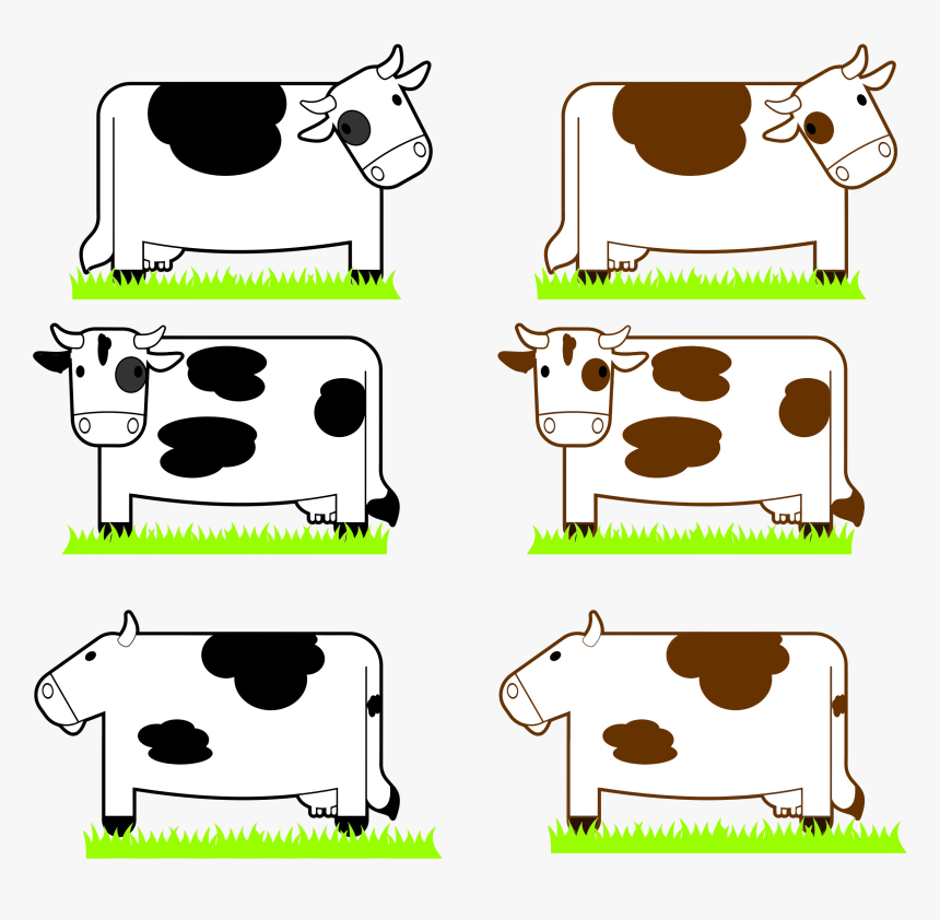 Black And Brown Cows With Grass - การ์ตูน วัว น่า รัก, HD Png Download