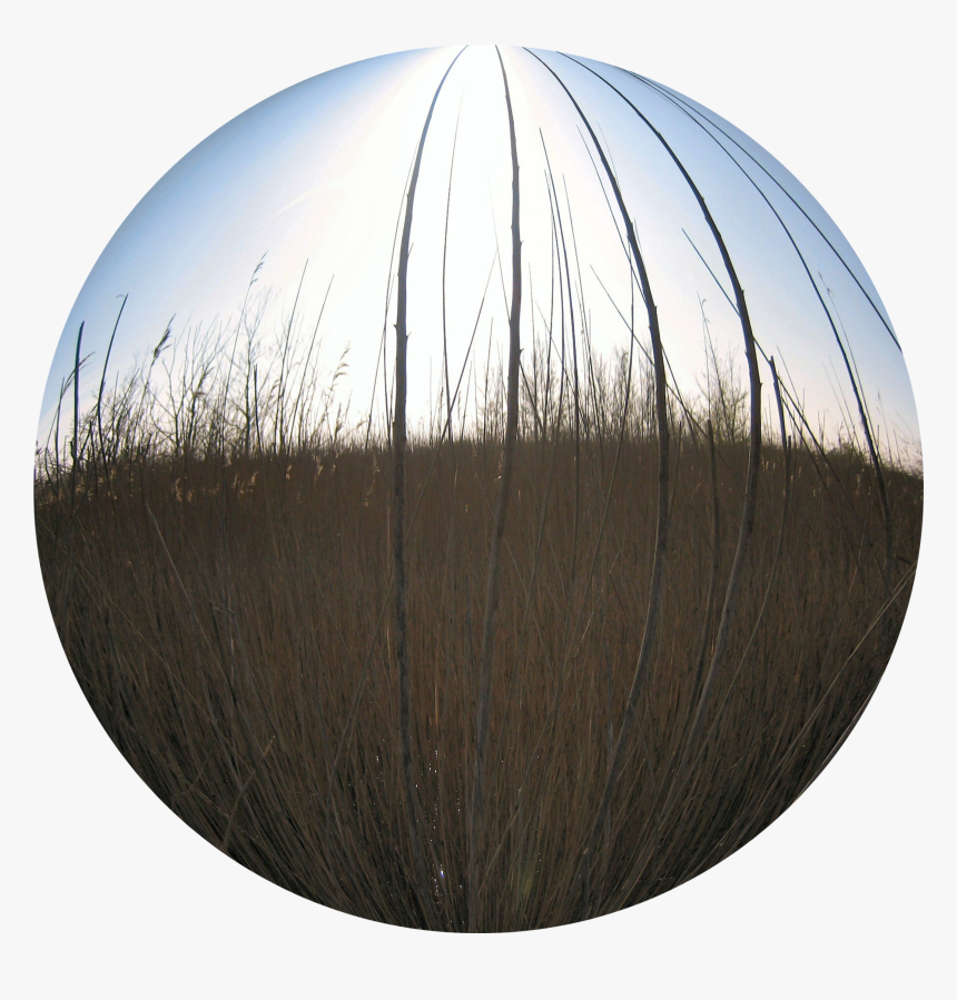 Circle, HD Png Download
