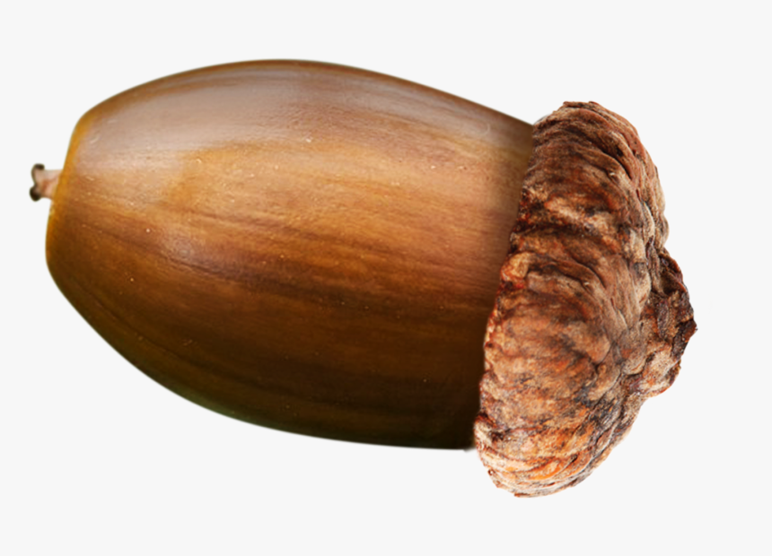 Png Files People, Transparent Png