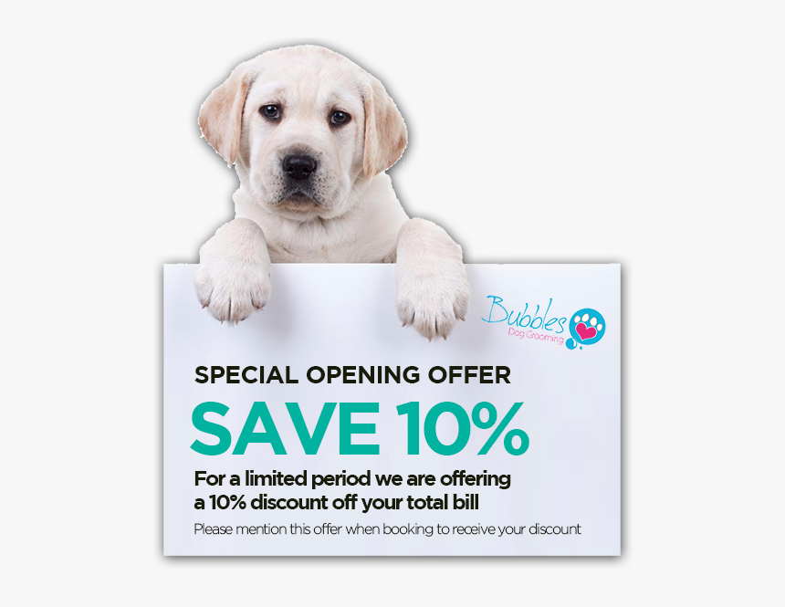 15 Dec Special Opening Offer - Flyer, HD Png Download