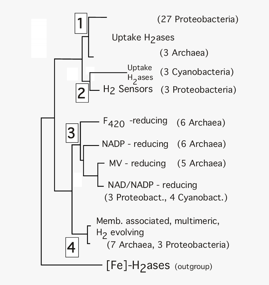 Document, HD Png Download