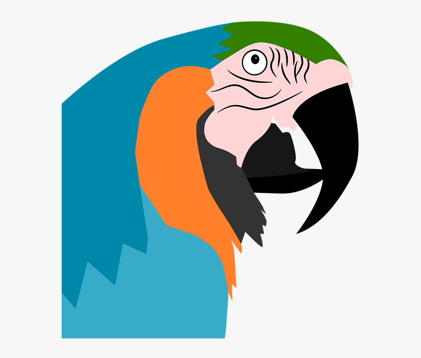 Parrot Clipart Wild Bird - Parrot, HD Png Download