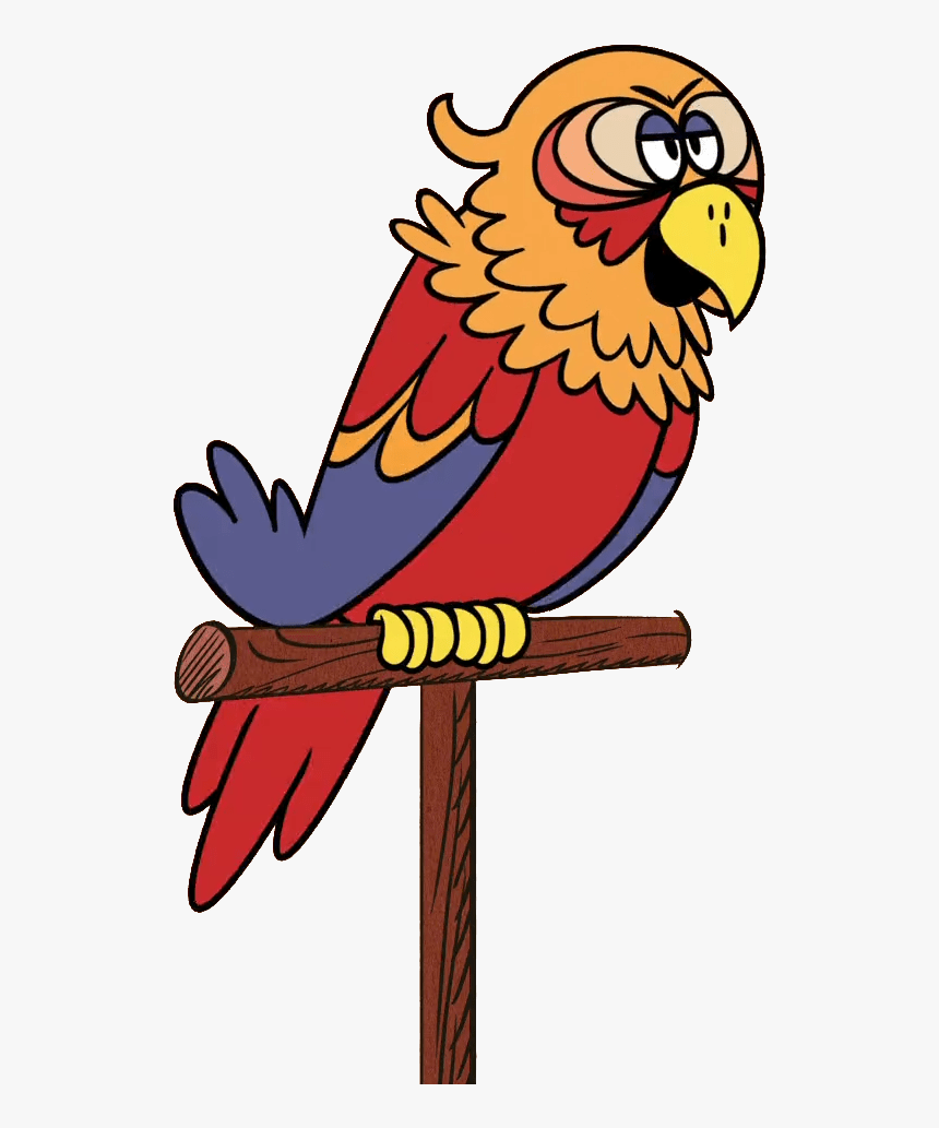 The Loud House Character Sergio The Parrot - Loud House Parrot, HD Png Download