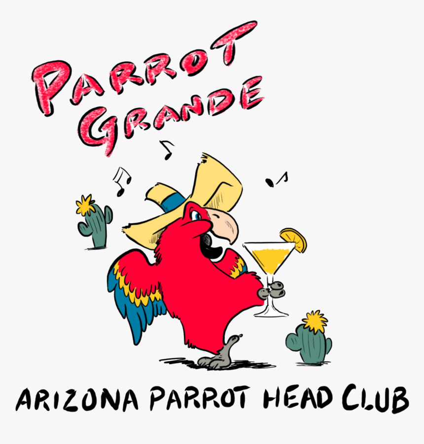 Parrot Grande - Clip Art, HD Png Download