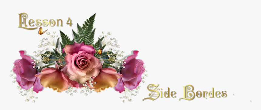 Header - Garden Roses, HD Png Download