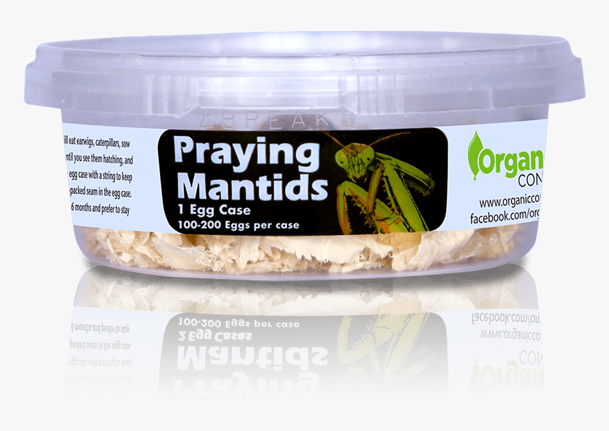 Cosmetics, HD Png Download