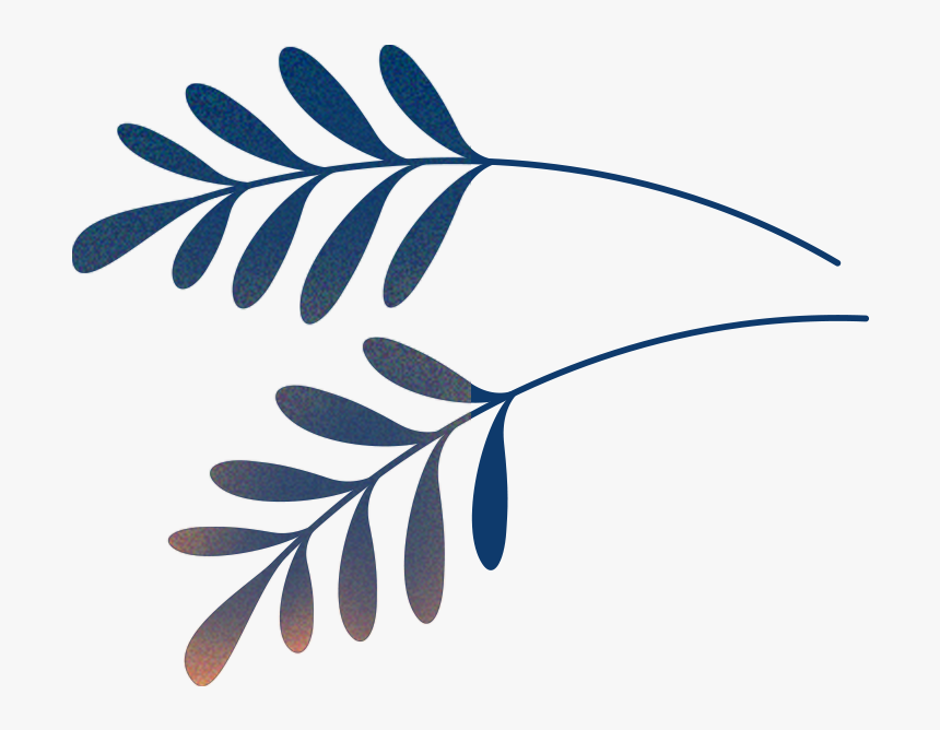 Pool Top View Vector Free, HD Png Download