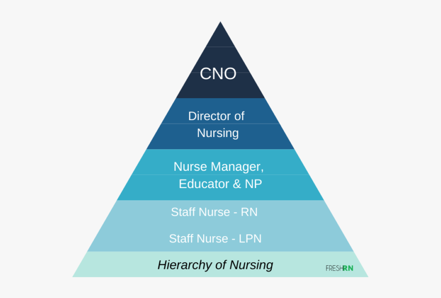 Hierarchy Of Nursing - Triangle, HD Png Download