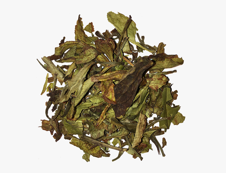 White Tea, HD Png Download