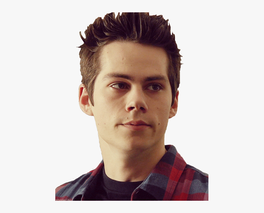 Dylan O Brien , Png Download - Dylan O'brien, Transparent Png