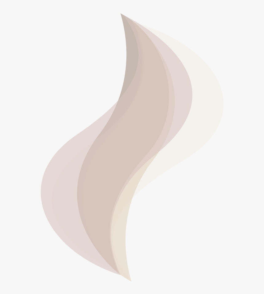 Vase, HD Png Download