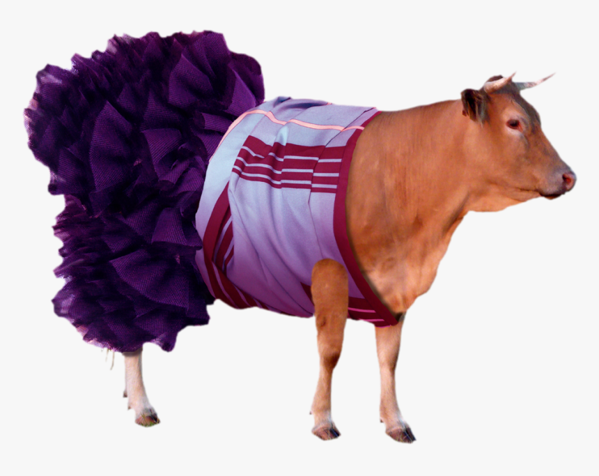 Cattle, HD Png Download