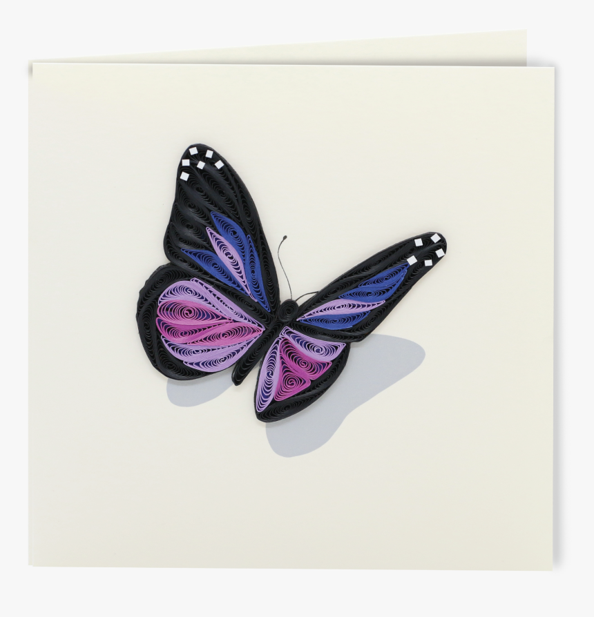 Butterfly - Limenitis, HD Png Download