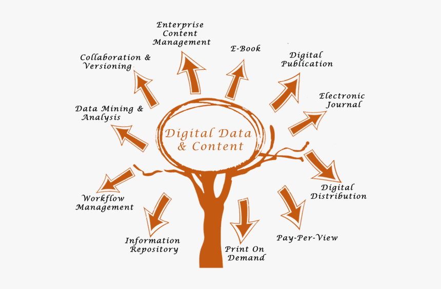 Ibbs Llp - Search Engine Optimization Skills, HD Png Download