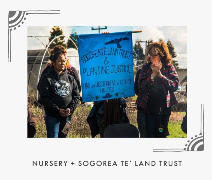 Nursery Graphic, HD Png Download