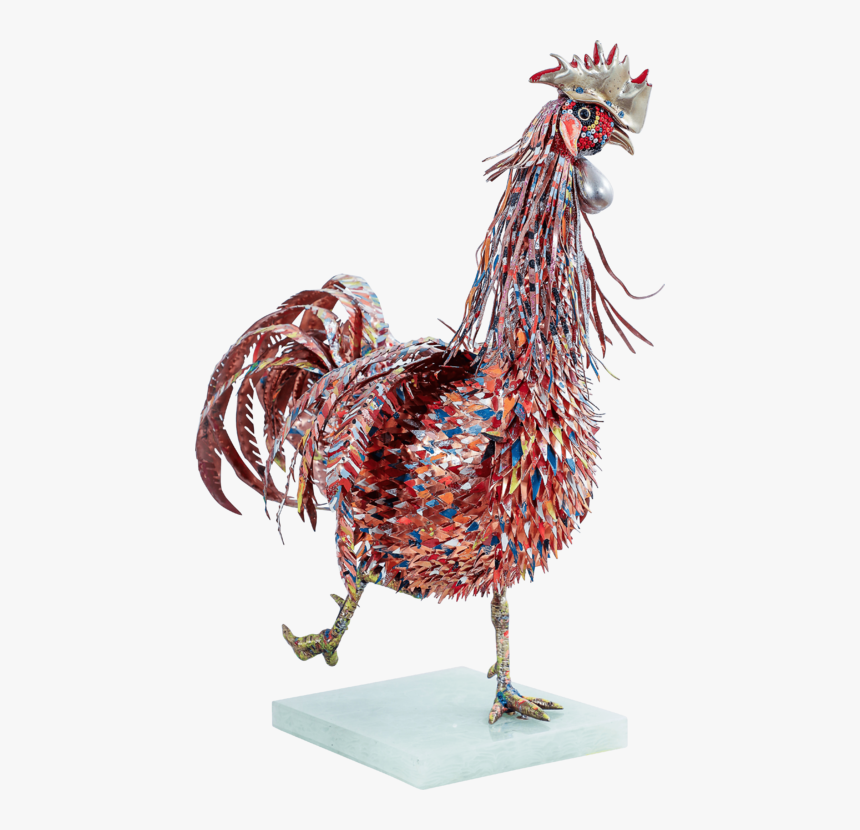 Gallo Variopinto Pietro De Tommaso - Rooster, HD Png Download