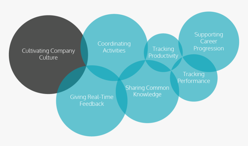 Circle, HD Png Download