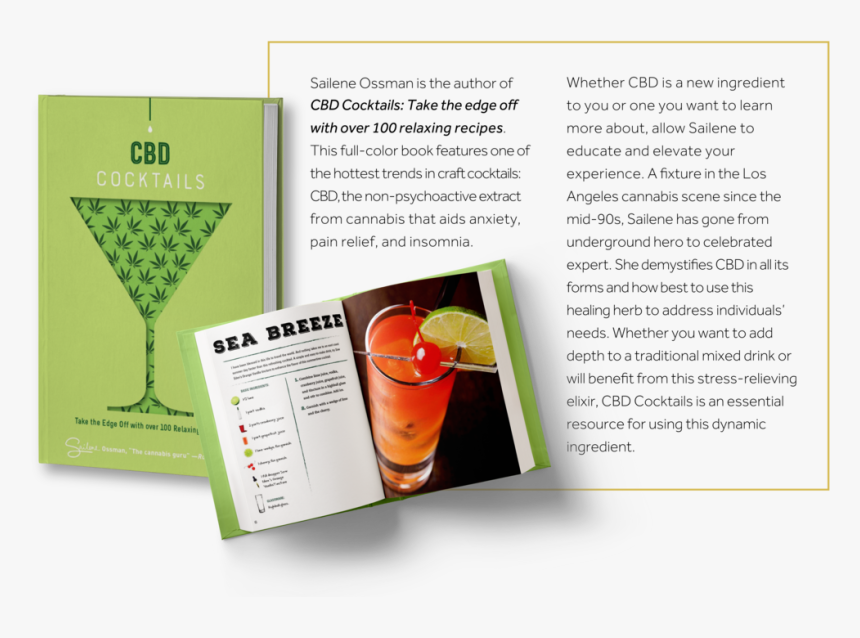 Homepage Banner 03 - Zombie, HD Png Download