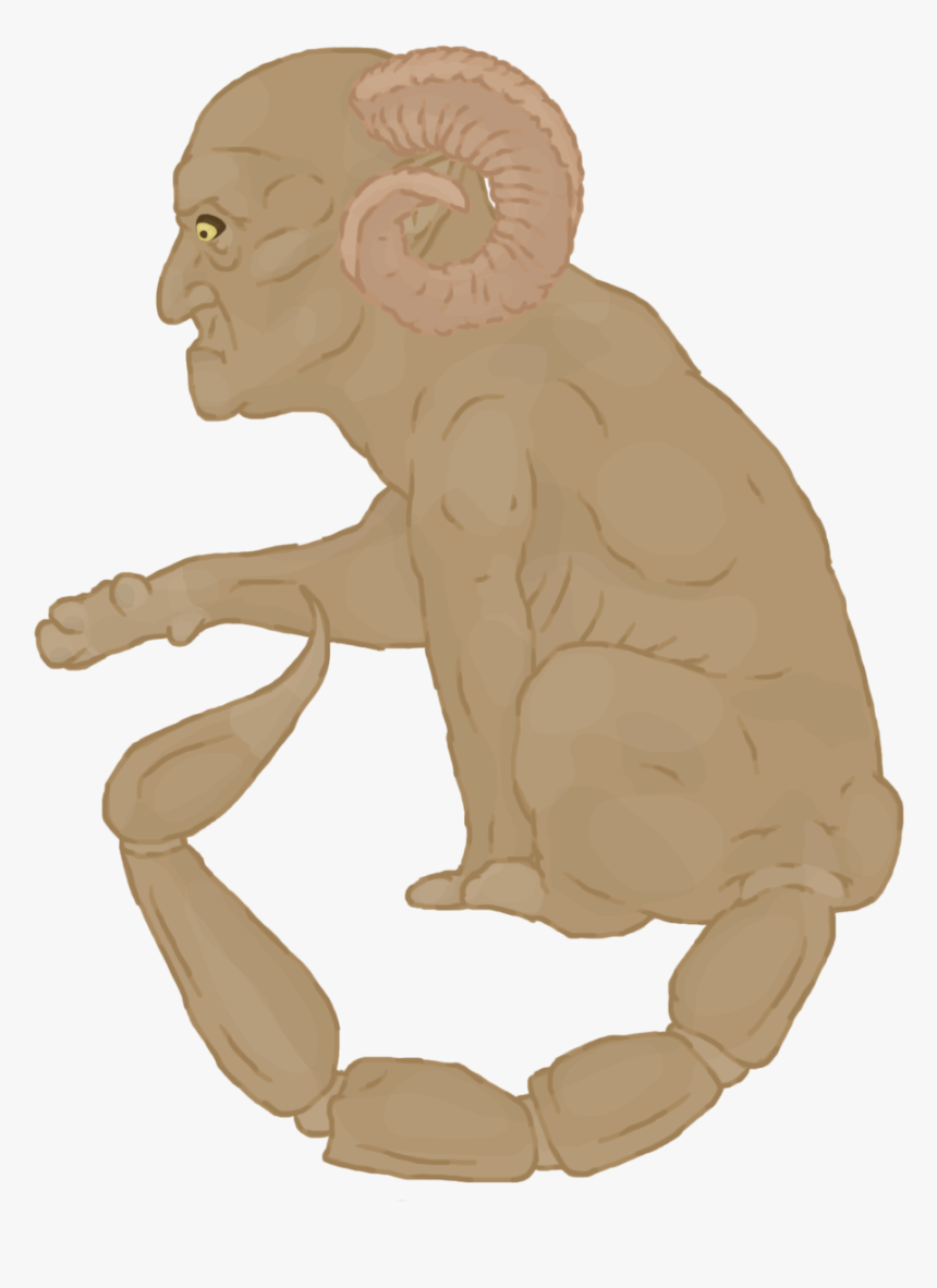 Rhesus Macaque, HD Png Download