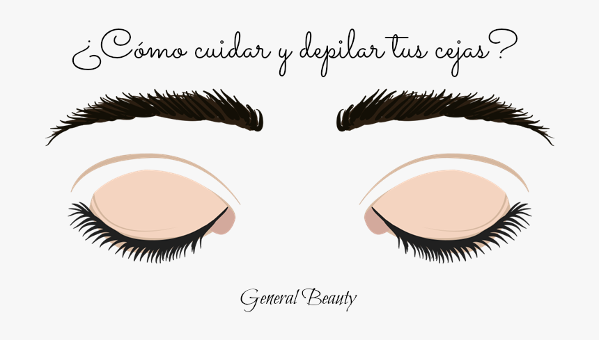 Eyelash Extensions, HD Png Download