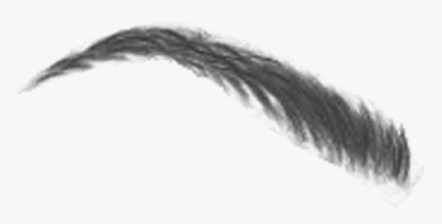 #cejas ##eyebrow #mystikers - Close-up, HD Png Download