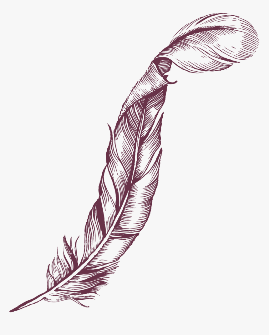 Hg Interiors Feather Purple Up - Illustration, HD Png Download