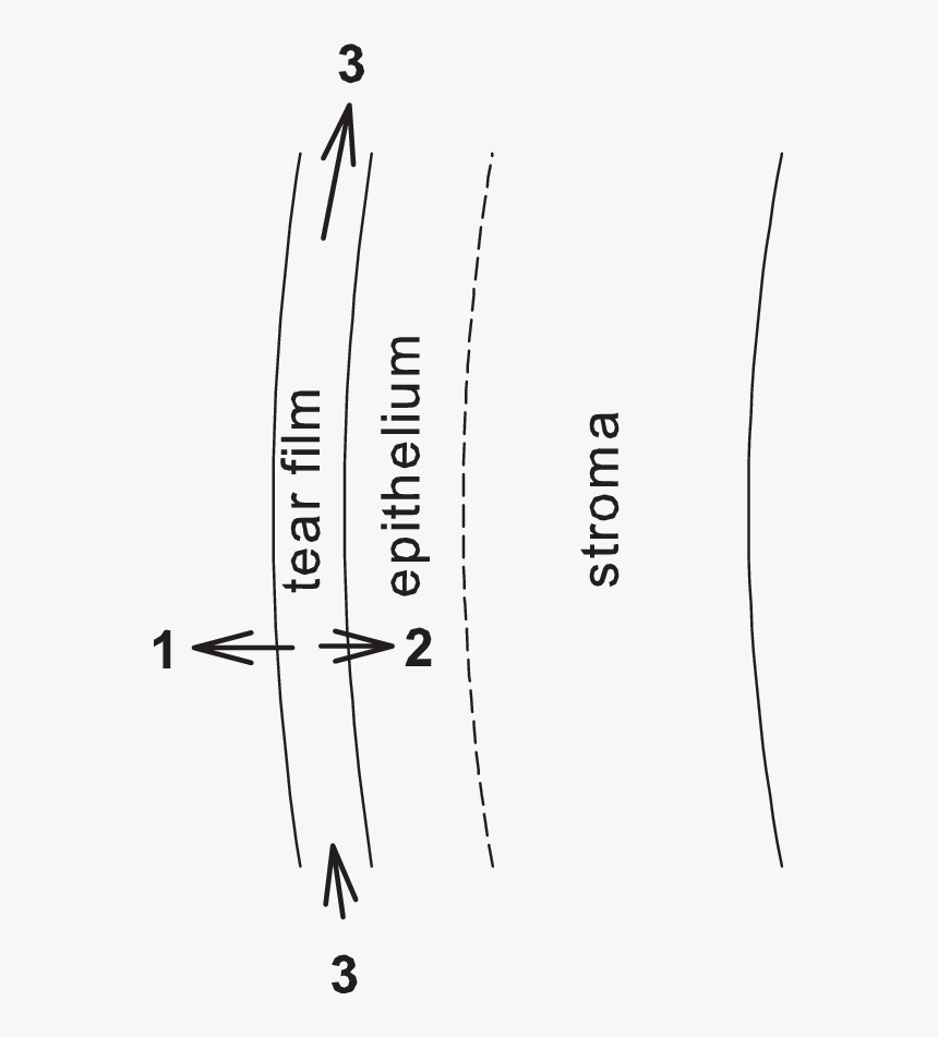 Diagram, HD Png Download