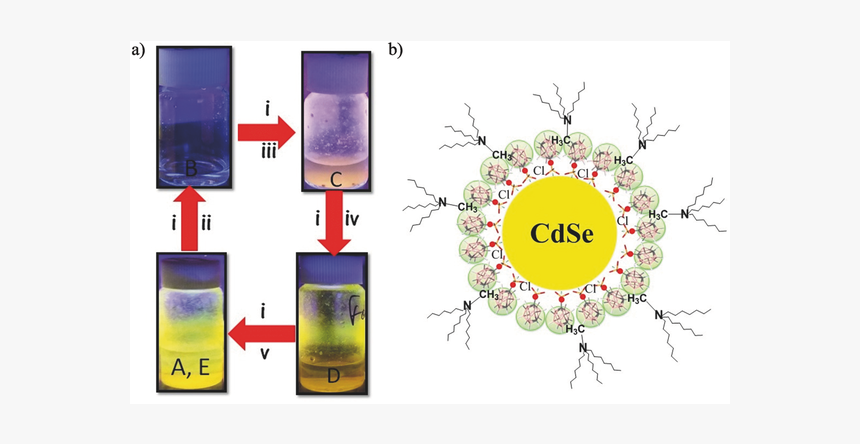 Cdse Quantum Dots, HD Png Download