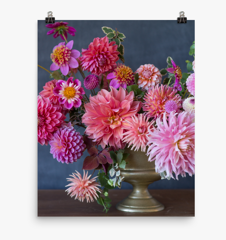 Transparent Pink Curtain Png - Chrysanths, Png Download