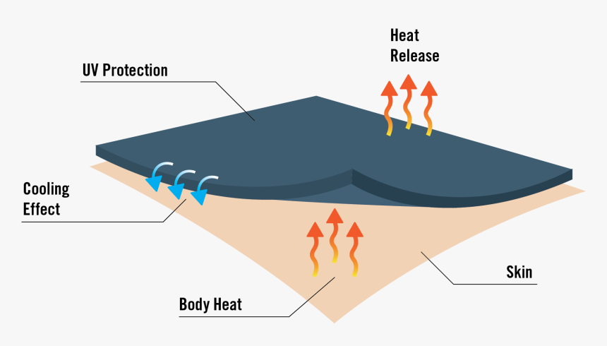 Diagram, HD Png Download