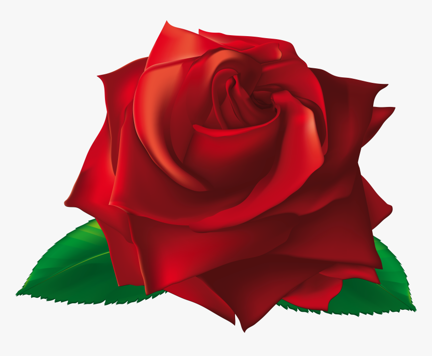 Transparent White Rose Border Png - Single Transparent Red Rose Flower, Png Download