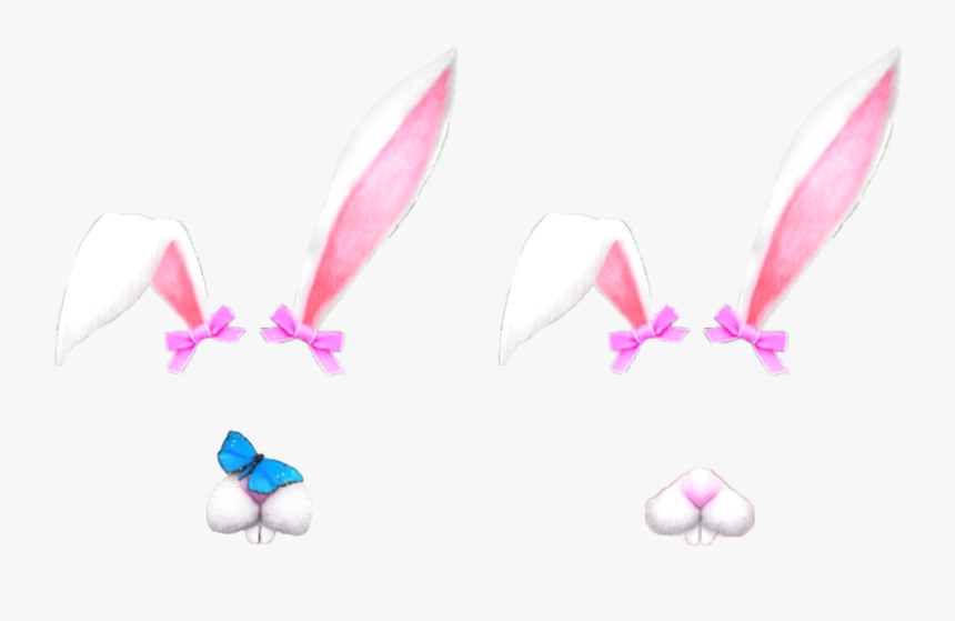 Bunnies, Bunny, And Filter Image - Portable Network Graphics, HD Png Download