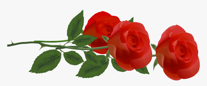 Rose Flower Clip Art - Clip Art, HD Png Download