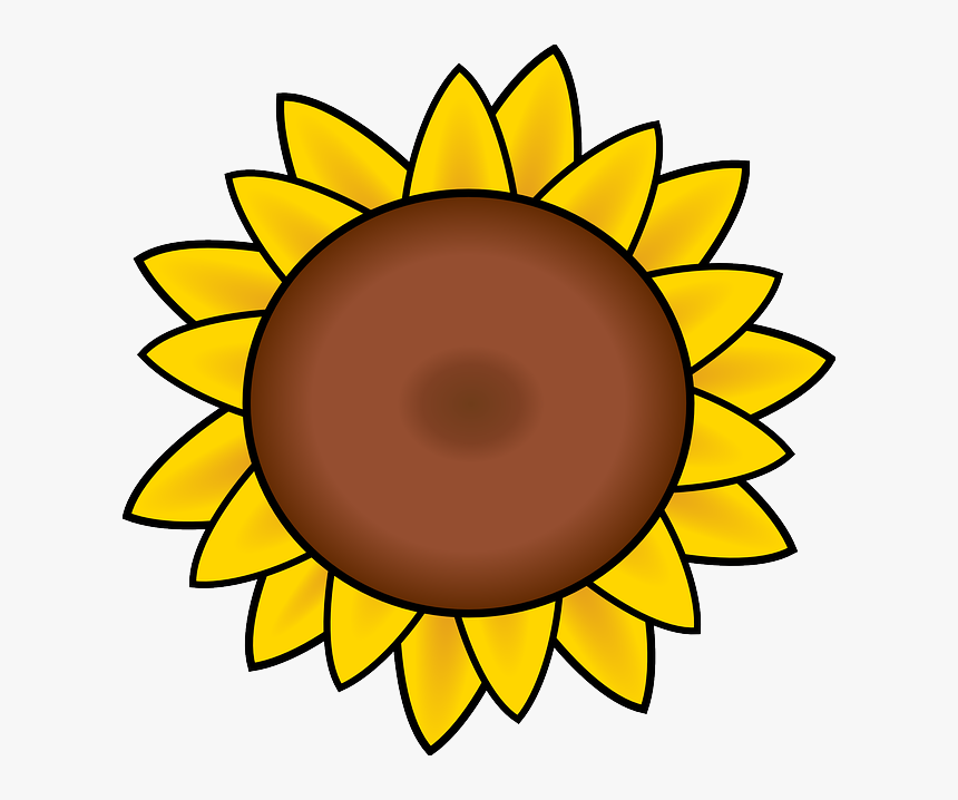 Free Image On Pixabay - Easy Drawings Of A Sunflower, HD Png Download