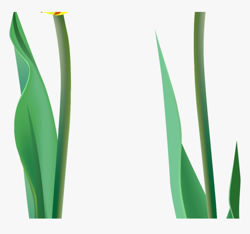 Spring Flower Svg Royalty Free Free Techflourish Collections - Agave, HD Png Download
