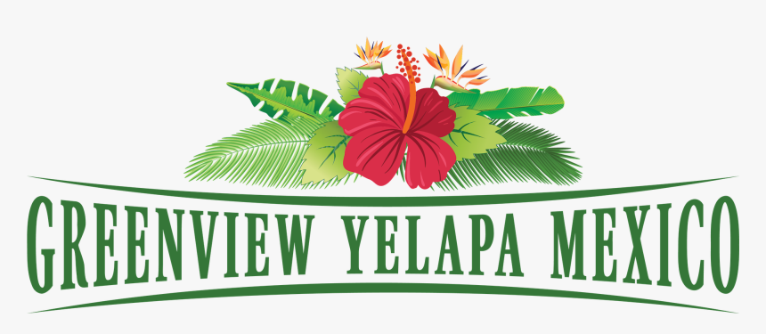 Greenview Yelapa Mexico Rentals Logo - Hawaiian Hibiscus, HD Png Download