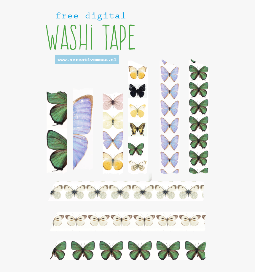 Papilio Machaon, HD Png Download