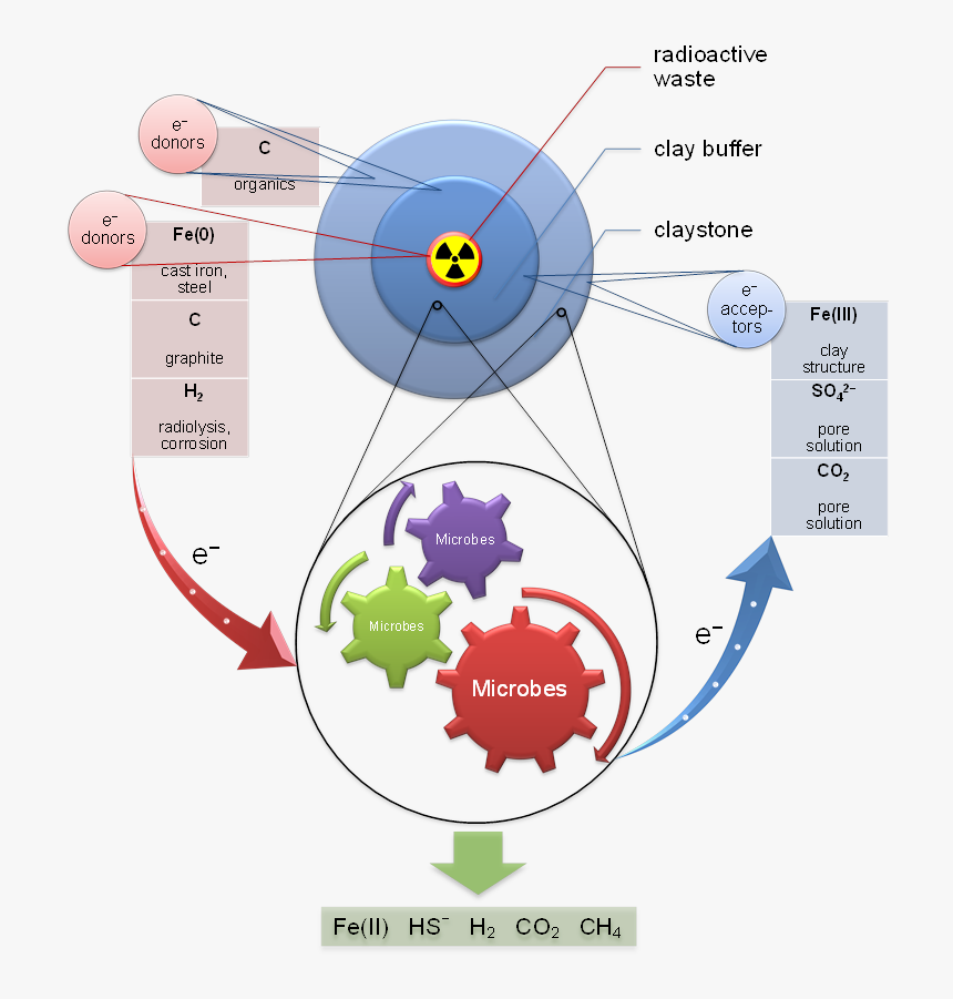 Interactions Between Microbes And Bentonite In A Repository - Open And Closed Pan Genome, HD Png Download