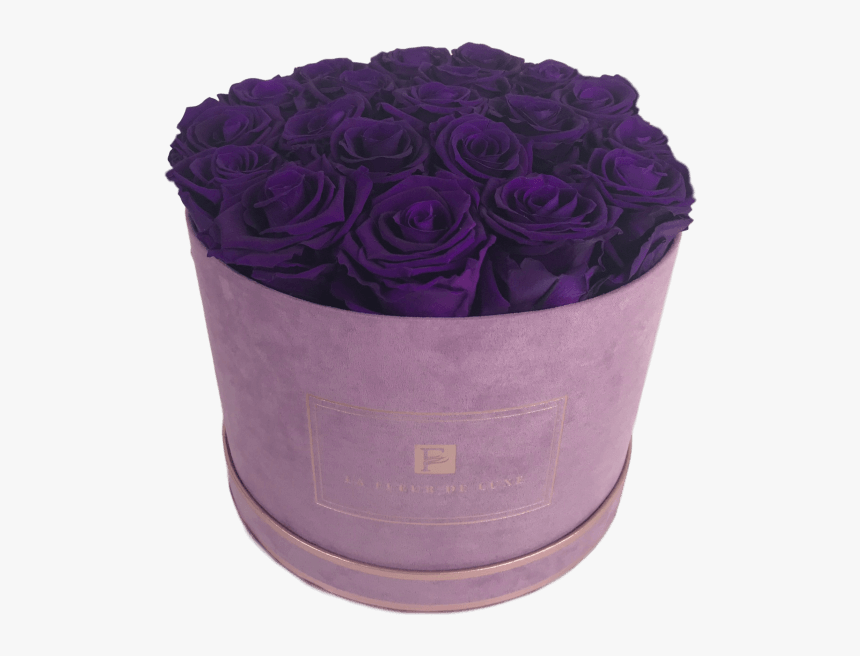 Purple Long Lasting Roses In A Medium Round Suede Box - Garden Roses, HD Png Download
