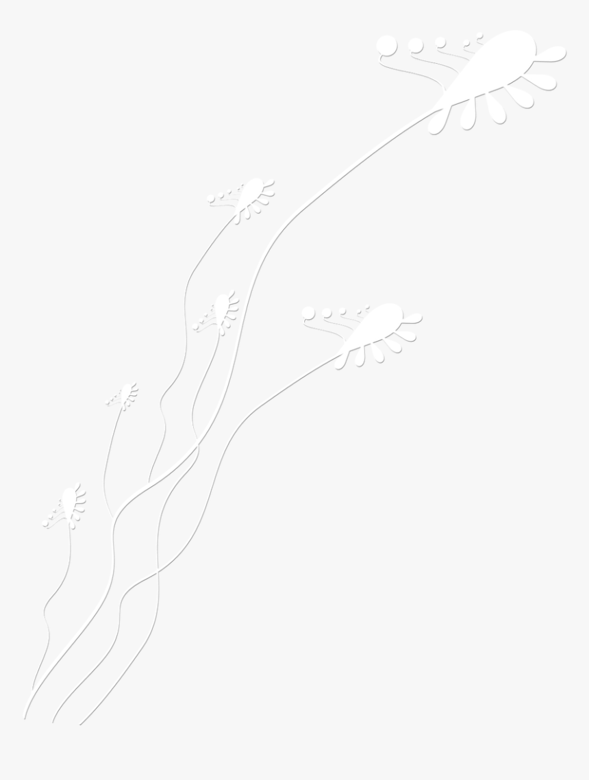 Sketch, HD Png Download