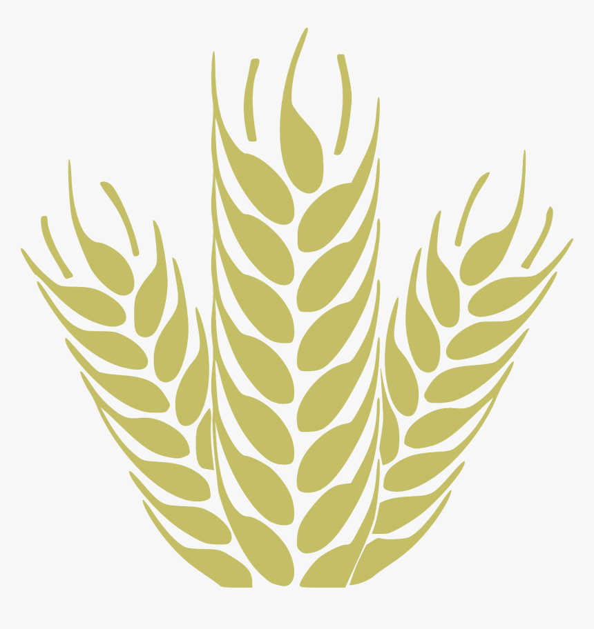 Wheat Graphic 
 Class Img Responsive True Size - Agriculture Visiting Card, HD Png Download