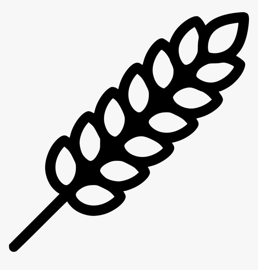 Download Wheat Icon Wheat Svg Hd Png Download Transparent Png Image Pngitem