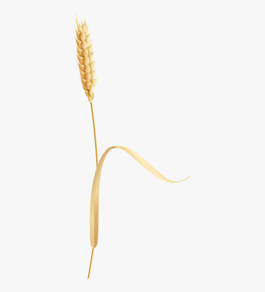Artificial Flower, HD Png Download