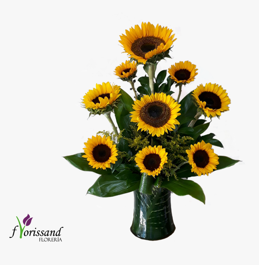 Transparent Hojas Verdes Png - Sunflower, Png Download