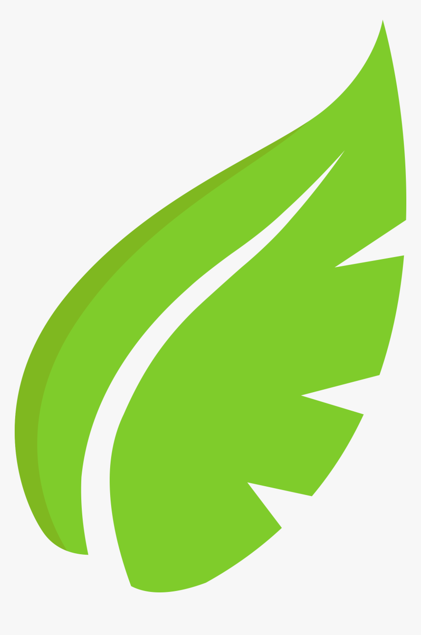 Hoja De Arbol Png, Transparent Png