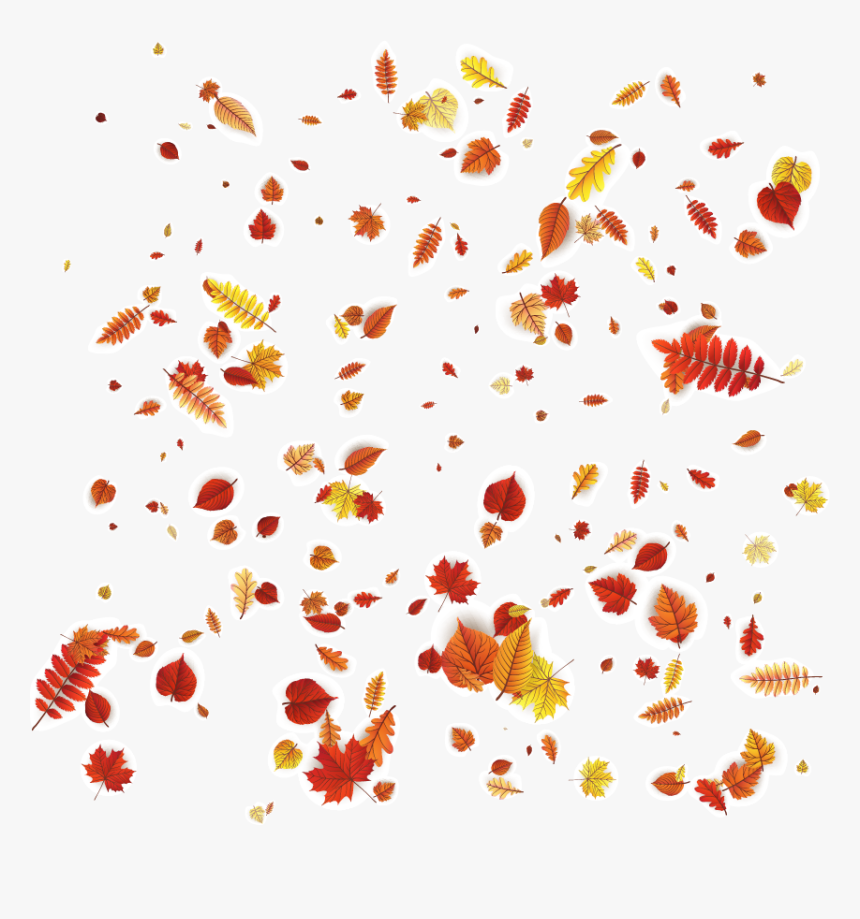 Petal Leaves Autumn Orange Vector Design Pattern Clipart - Autumn Leaves Falling Png, Transparent Png